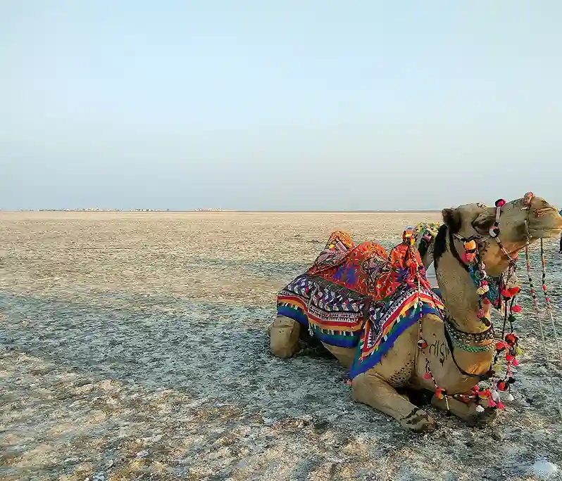 Great Rann of Kutch