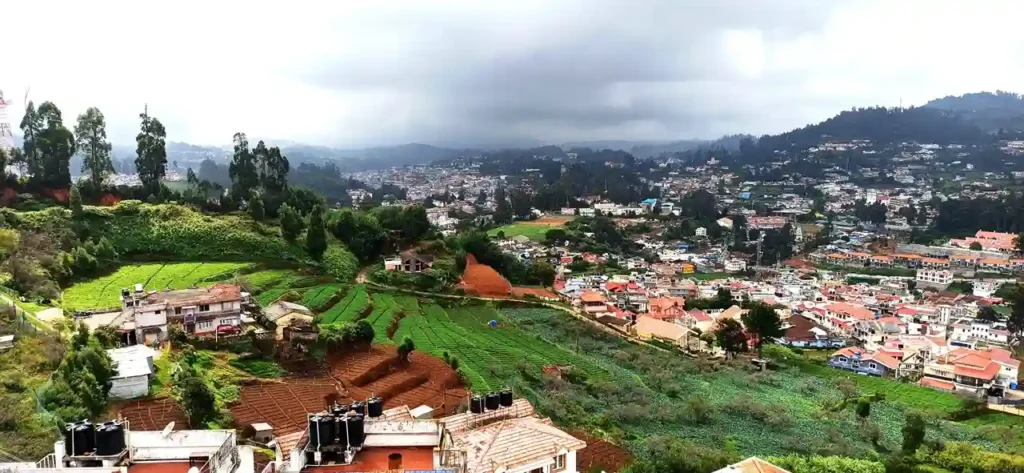 Ooty