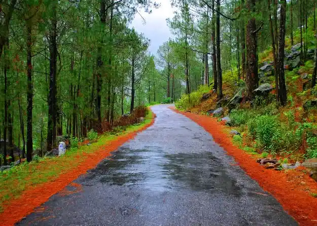 Ranikhet