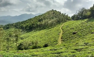 Wayanad Kerala