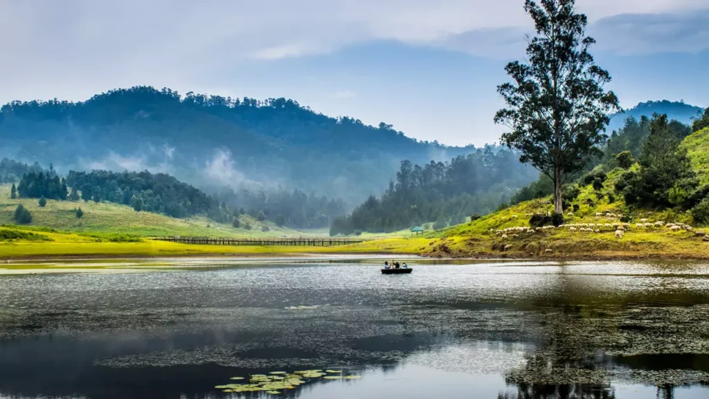 Kodaikanal
