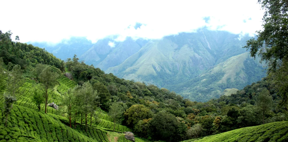 Munnar Echo Point