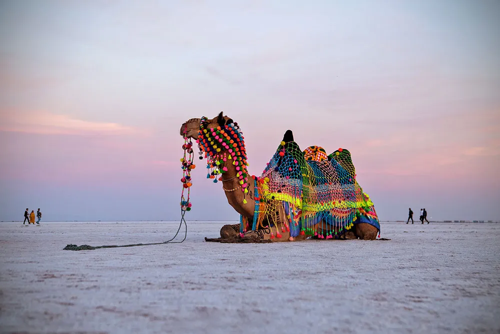 Rann of Kutch