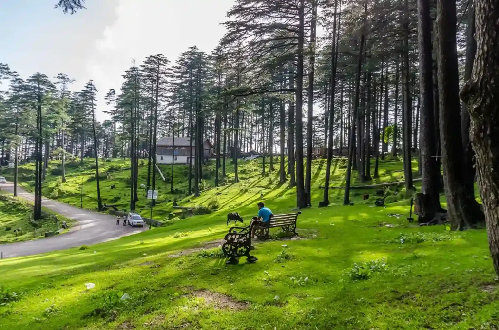 Patnitop