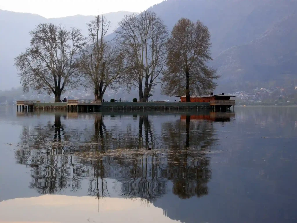 Char Chinar srinagar