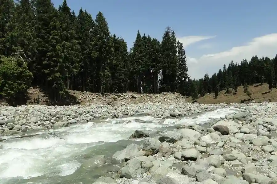 Doodhpatri