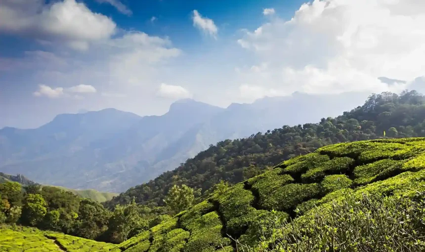 Best Places to visit in Kerala for Honeymoon (2025)