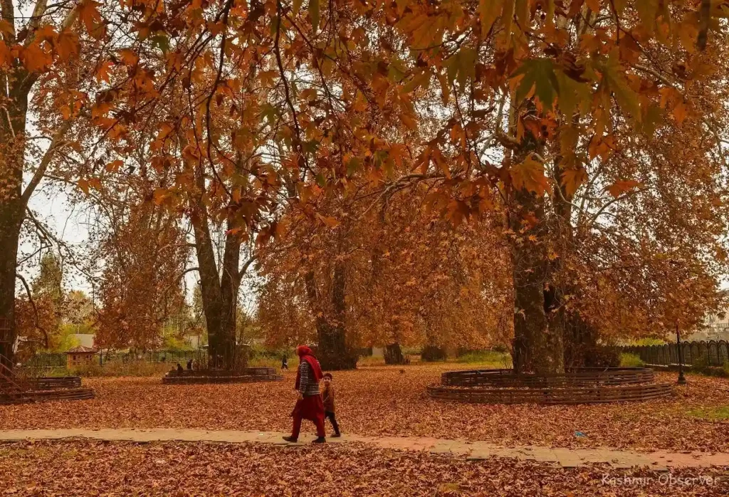 Kashmir Autumn Season