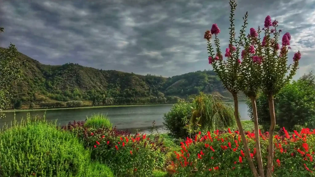 Manasbal Lake