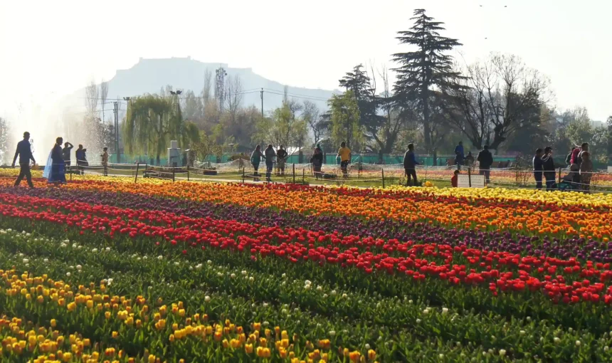 Best Time to Visit Kashmir for a Honeymoon: A Complete Guide for Romantic Getaways (2025)