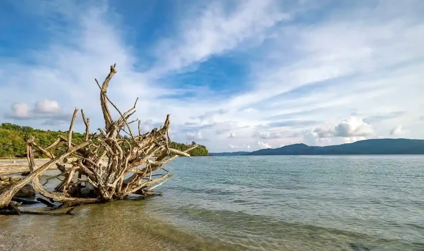 Best Places to visit in Andaman for Honeymoon (2025)