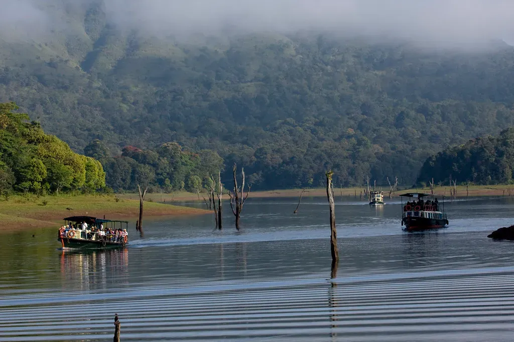 This image has an empty alt attribute; its file name is Thekkady-lake.webp