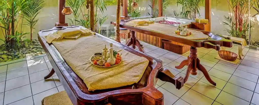 Ayurvedic Spa