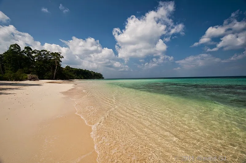 Elephant Beach
