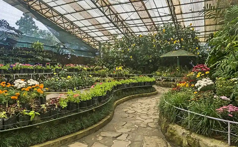 Flower Exhibition Centre Gangtok