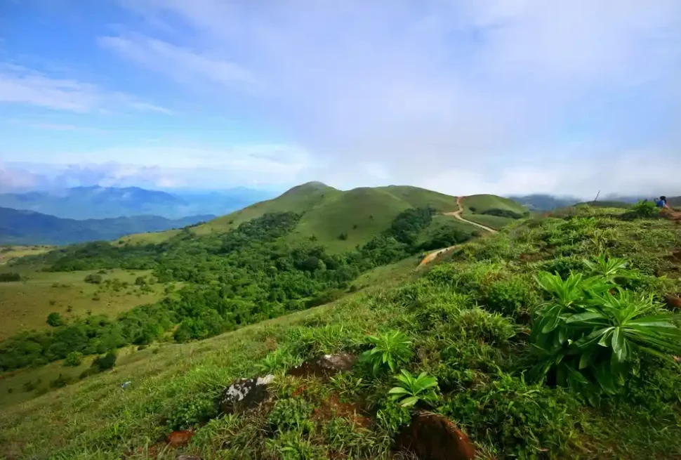 Mandalpatti Viewpoint