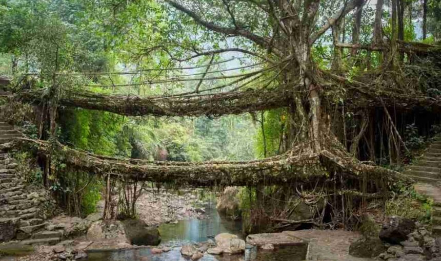 Best Places to visit in Meghalaya for Couples (2025)