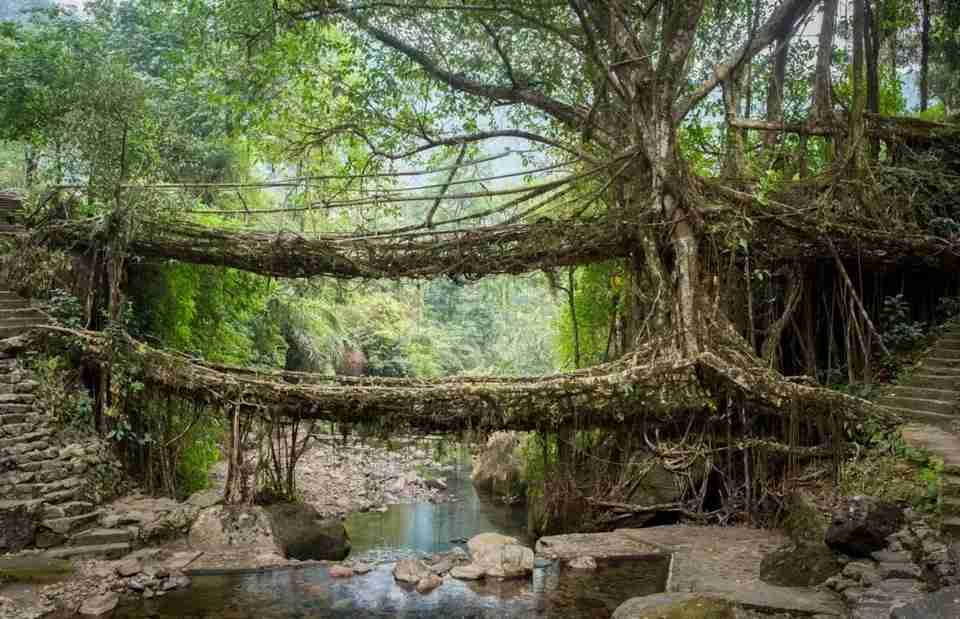 Best places to visit in Meghalaya for couples