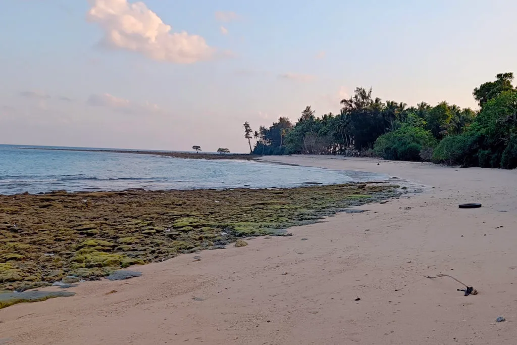Merk May Beach