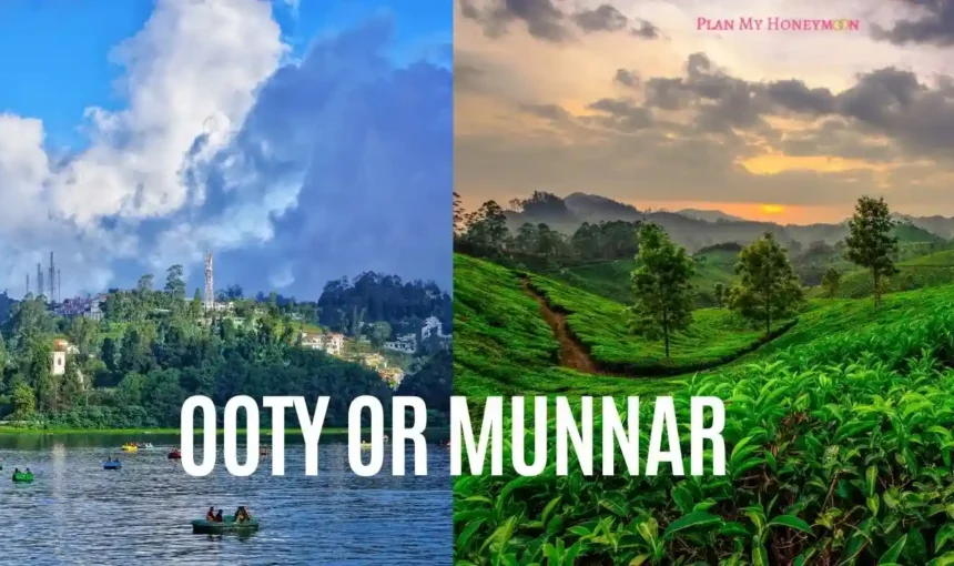 Ooty or Munnar – Which is Better for Honeymoon? [2025 Guide]