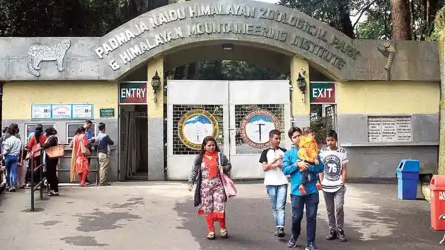 Padmaja Naidu Himalayan Zoological Park