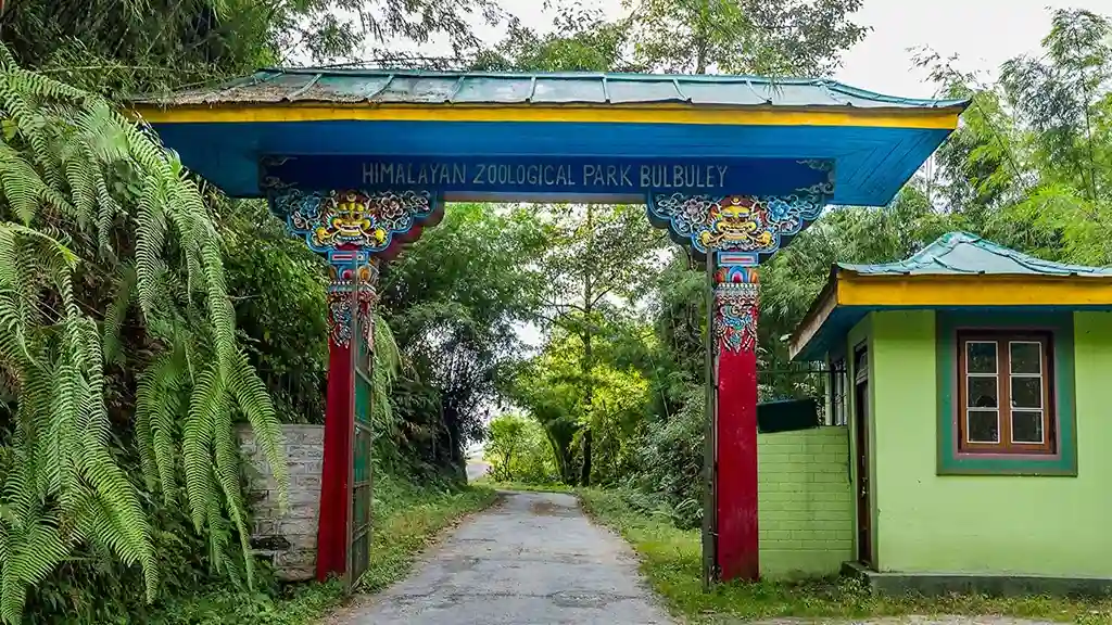 Himalayan zoological park gangtok