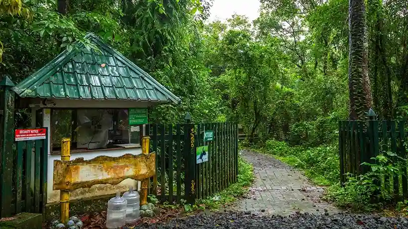 kumarakom bird sanctuary