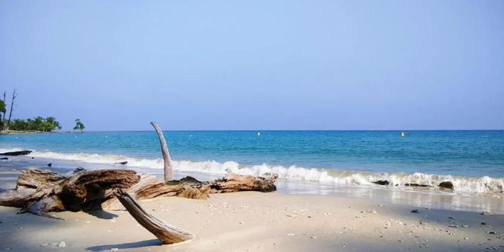 LalaJi Bay 
