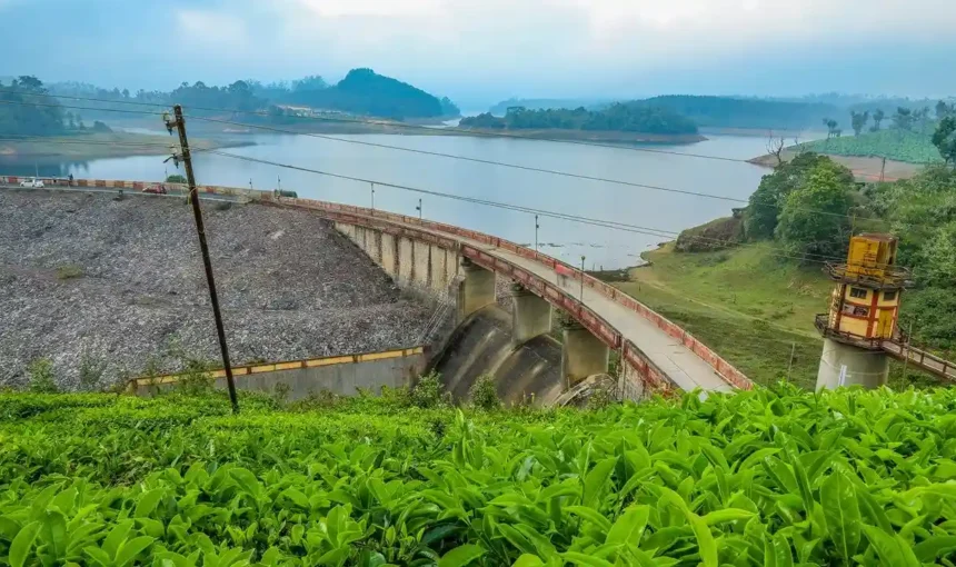 Best Places to visit in Munnar for Honeymoon (2025)