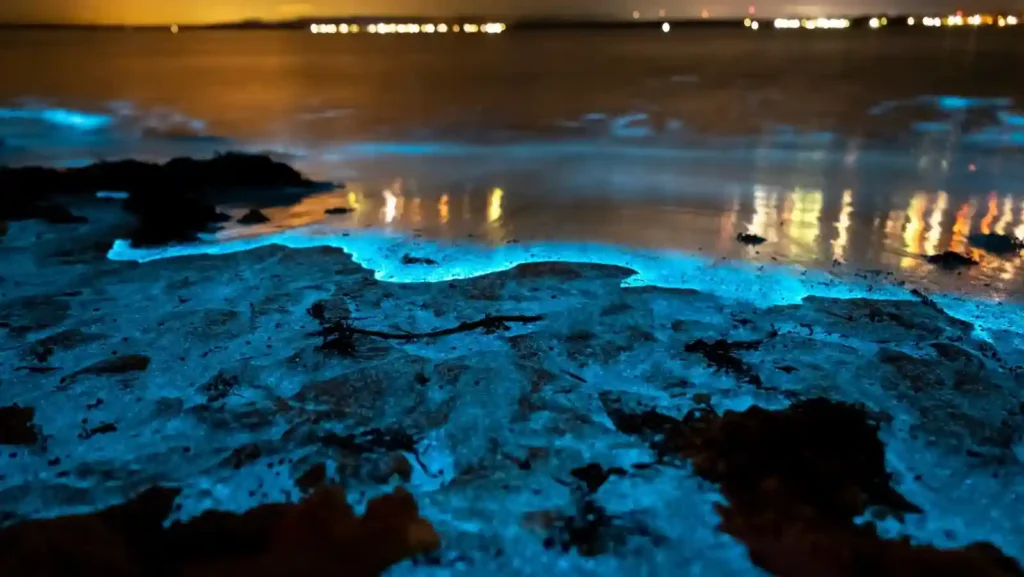 Glow dark beach maldives vadhoo island
