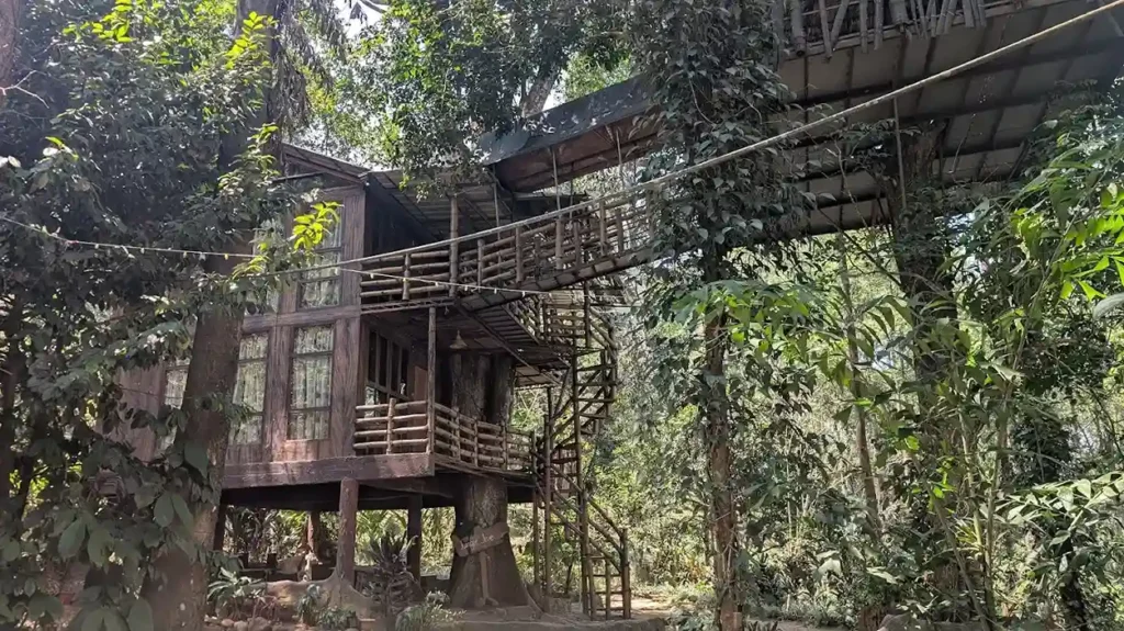 Jungle Jive Treehouse Munnar