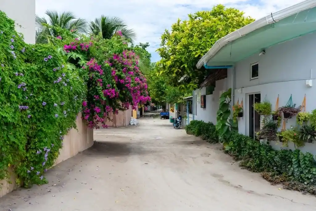 Maldives Local Island