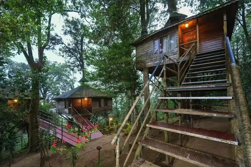 Nature Zone Jungle Resort Munnar
