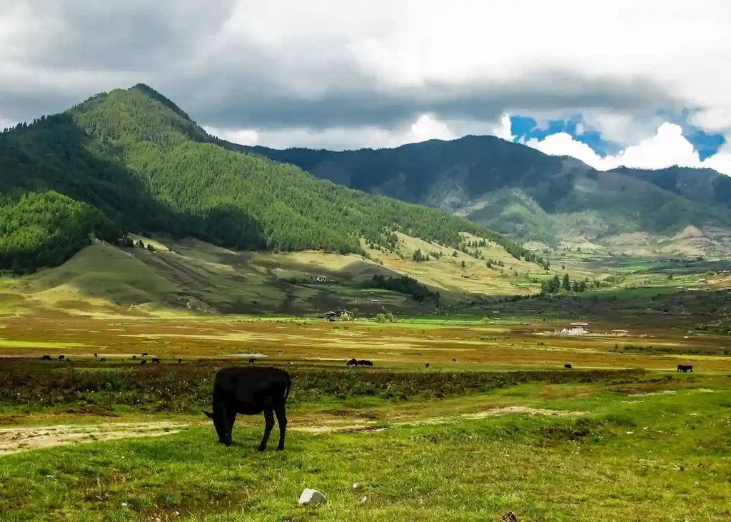 Phobjikha valley bhutan