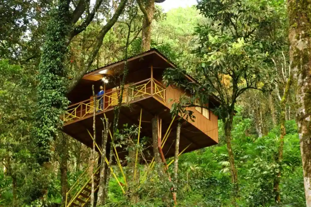 Seven Springs Plantation Resorts Munnar
