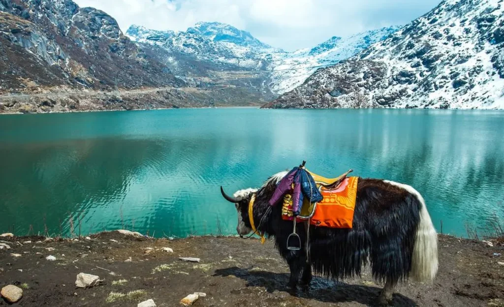 Sikkim Honeymoon Package