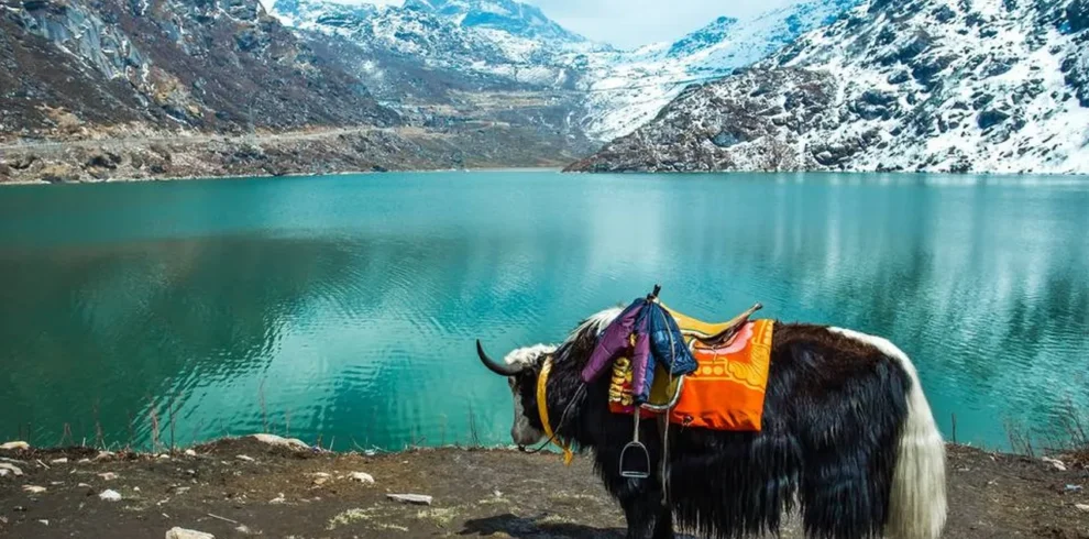 Sikkim Honeymoon Package