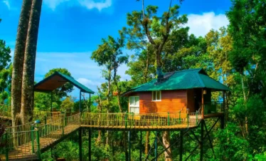 Best Tree houses in Munnar