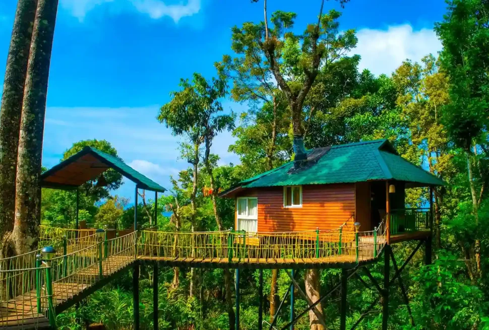Best Tree houses in Munnar