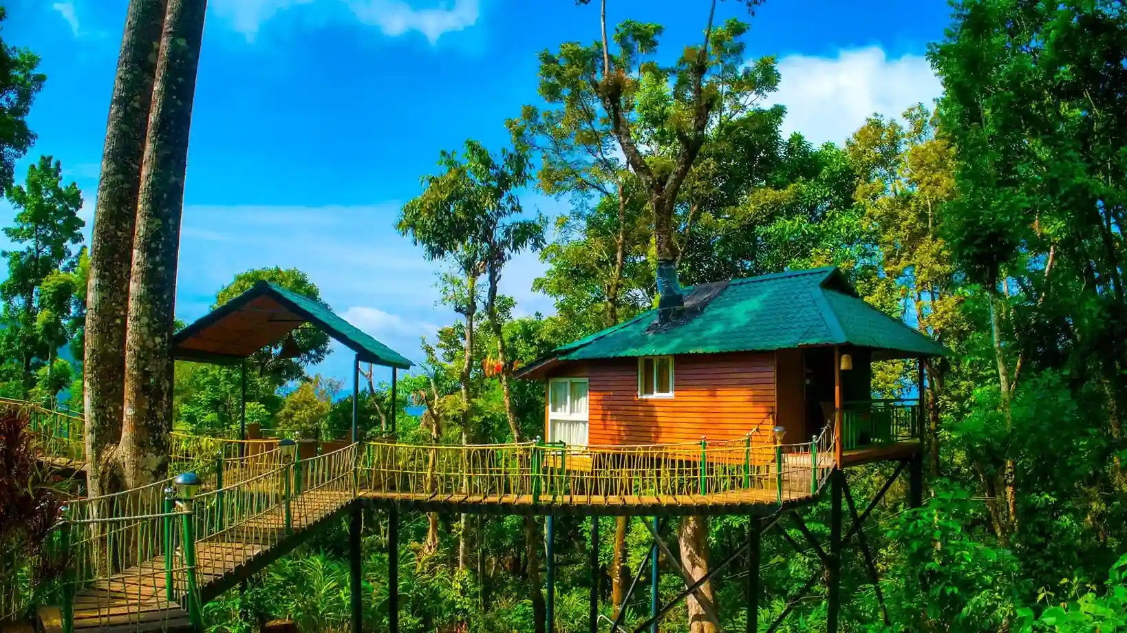 Best Tree houses in Munnar
