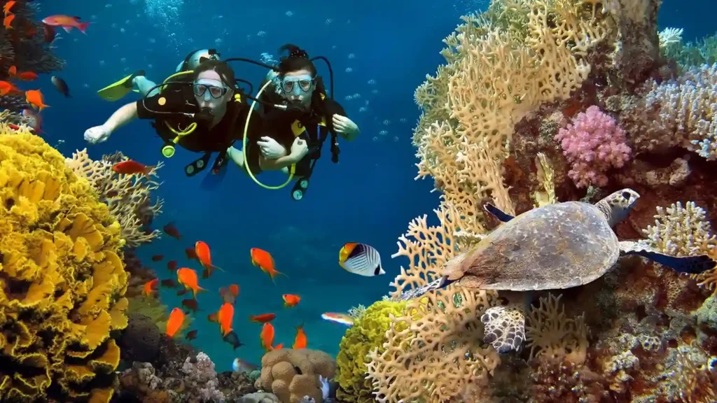 Snorkeling with Turtles in Maldives