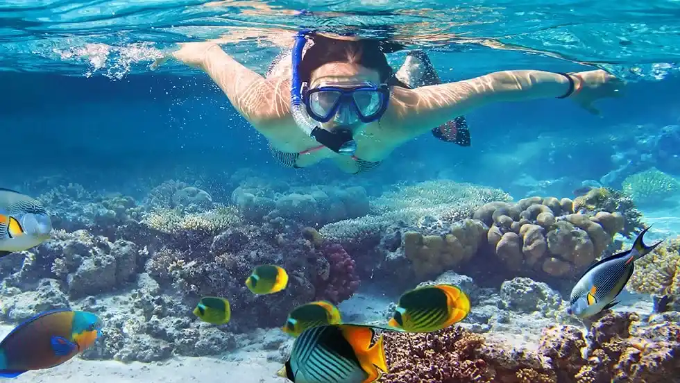 Maldives Snorkeling