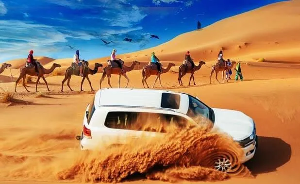 Dubai Desert safari