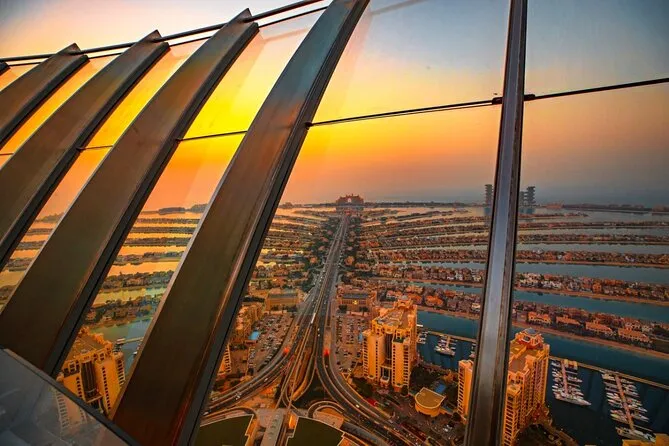 the view at the palm observatory