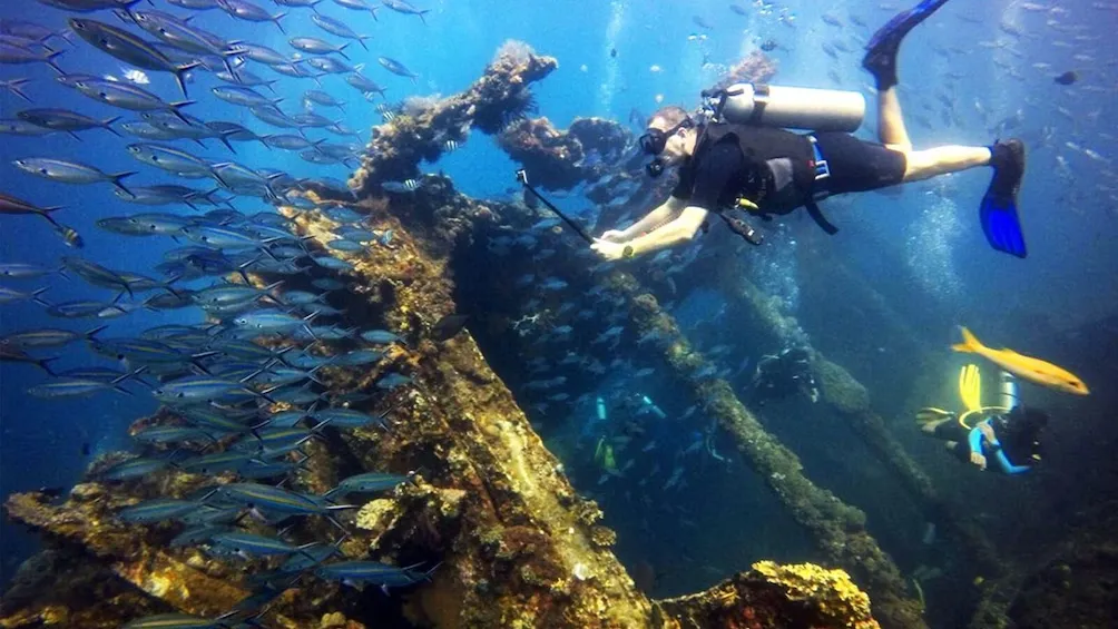 Tulamben USAT Liberty Wreck (Diving)